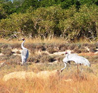 Cape Keraudren Nature Reserve - Accommodation Georgetown