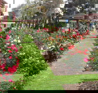 Cowra Rose Garden - Accommodation Georgetown