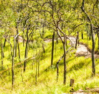 Davies Creek Mountain Bike Park