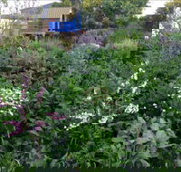 Down to Earth Permaculture - Accommodation Georgetown