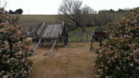 Early Settlers Hut - Accommodation Georgetown 2