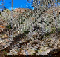 Eualdrie Walking Track - Accommodation Georgetown