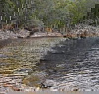 Lake Rowallan - Accommodation Georgetown