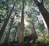 Leeuwin-Naturaliste National Park - Leeuwin - Accommodation Georgetown