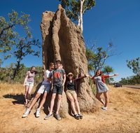 Magnetic Termite Mounds - Accommodation Georgetown