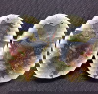 Mount Hay Gemstone Tourist Park - Accommodation Georgetown