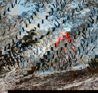 Mountain Bike Trails Deniliquin - Accommodation Georgetown