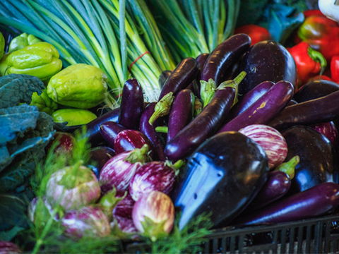 Murwillumbah Farmers' Market - Accommodation Georgetown 1