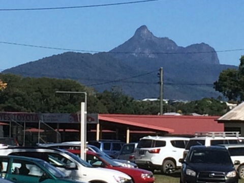 Murwillumbah Farmers' Market - Accommodation Georgetown 2