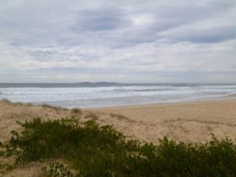 Narooma Surf Beach - Accommodation Georgetown 0