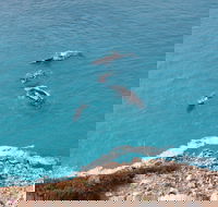 Nullarbor National Park - Accommodation Georgetown