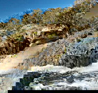 Oxley Walking Track - Accommodation Georgetown