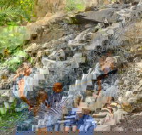 Queens Park Waterfall - Accommodation Georgetown