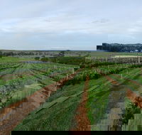 Razorback Cawdor Camden Park - Accommodation Georgetown