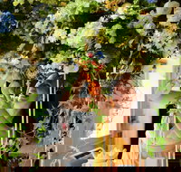 Robe Flower School - Accommodation Georgetown