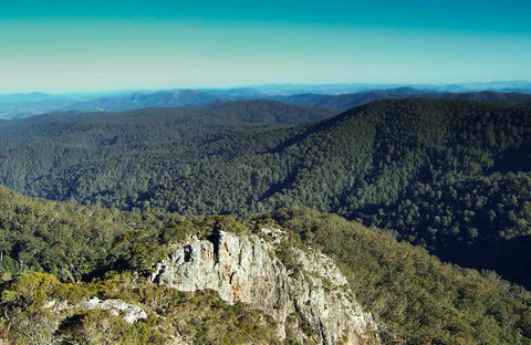 Tapin Tops National Park - Accommodation Georgetown 0