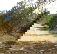 The Bloomfield Track - Accommodation Georgetown