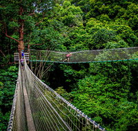 Thunderbird Park  - Tamborine Mountain Gold Coast Region - Accommodation Georgetown