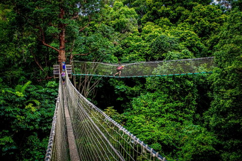 Thunderbird Park ® - Tamborine Mountain, Gold Coast Region - Accommodation Georgetown 0