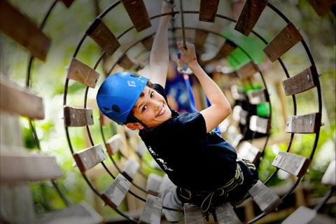 Thunderbird Park ® - Tamborine Mountain, Gold Coast Region - Accommodation Georgetown 1