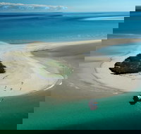 Turtle Discovery - Accommodation Georgetown