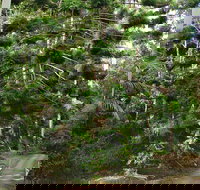 Way Way Creek Road Drive - Accommodation Georgetown