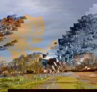 Adelong Falls Walk - Accommodation Georgetown