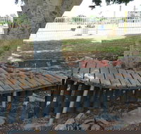 Barcaldine Musical Instruments - Accommodation Georgetown