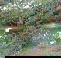 Birdwing Butterfly Walk - Accommodation Georgetown
