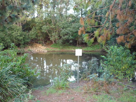 Birdwing Butterfly Walk - Accommodation Georgetown 0