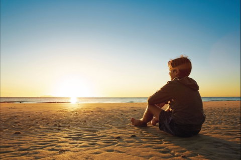 Blissful Northern Beaches - Accommodation Georgetown 0