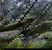 Cathedral Rock Track - Accommodation Georgetown