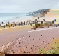 Coast to Vines Rail Trail - Accommodation Georgetown