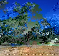 Comet - Accommodation Georgetown