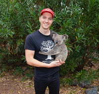 Cooberrie Park Wildlife Sanctuary - Accommodation Georgetown