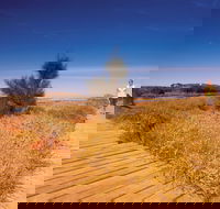 Irwin River Nature Trail - Accommodation Georgetown