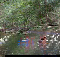 Kerewong State Forest - Accommodation Georgetown