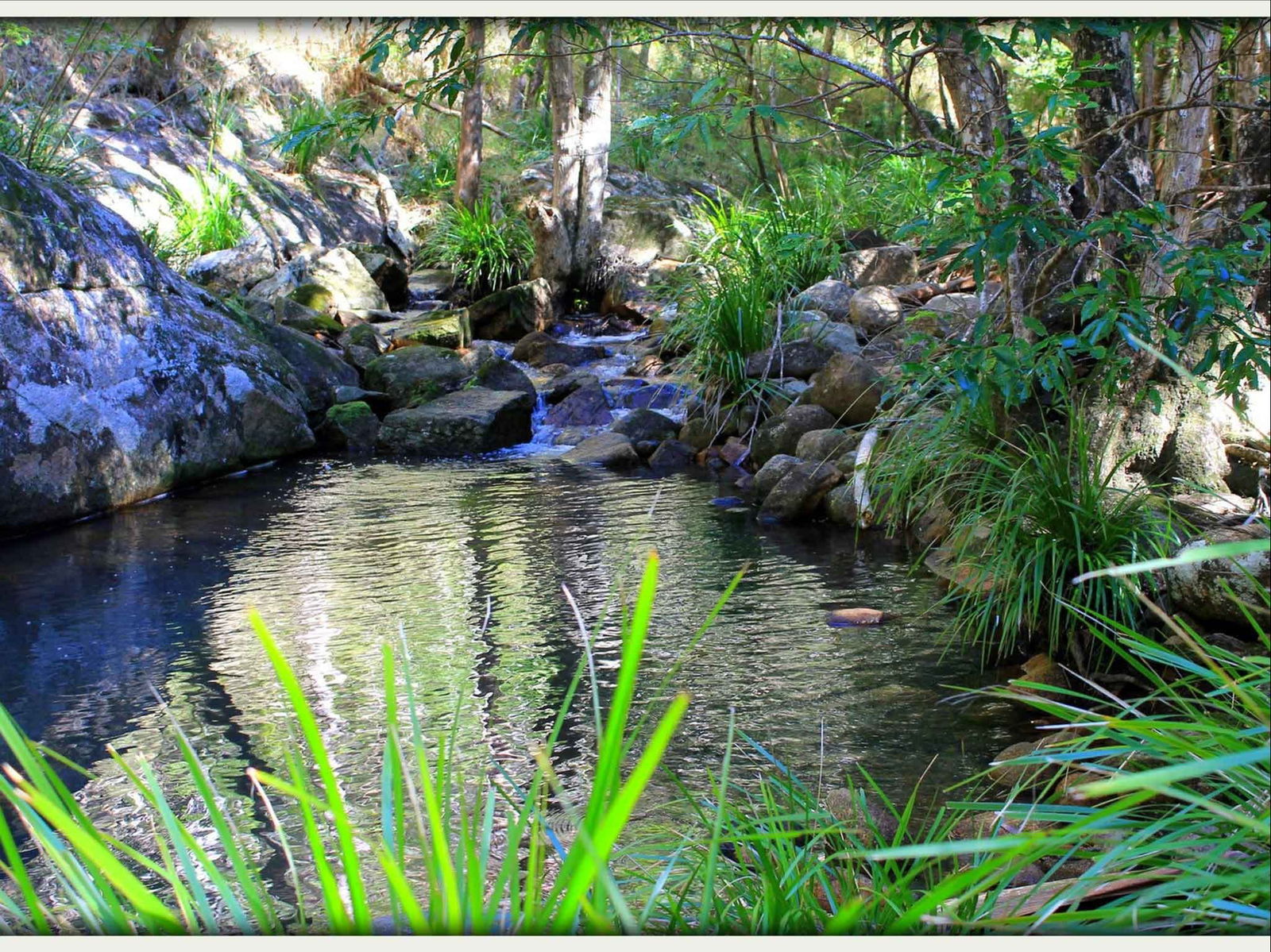 Kin Kin QLD Accommodation Georgetown