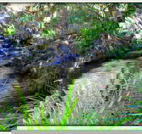 Kin Kin - Accommodation Georgetown