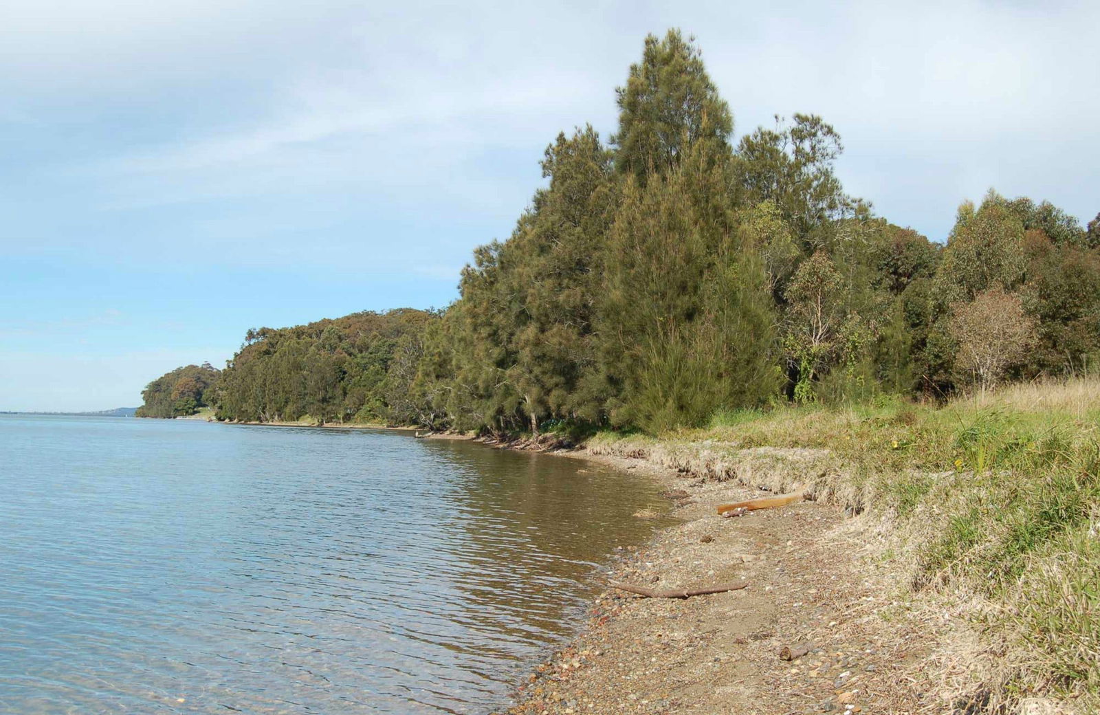 Morisset Park NSW Accommodation Georgetown