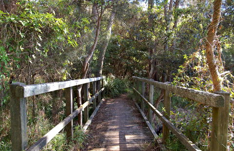 Lake Macquarie State Conservation Area - Accommodation Georgetown 1