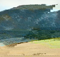 Langi Ghiran State Park - Accommodation Georgetown