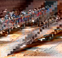 Lark Quarry Conservation Park - Accommodation Georgetown