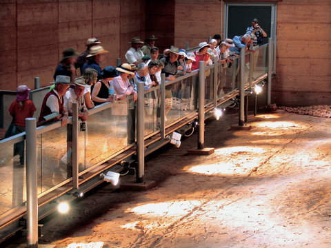 Lark Quarry Conservation Park - Accommodation Georgetown 0