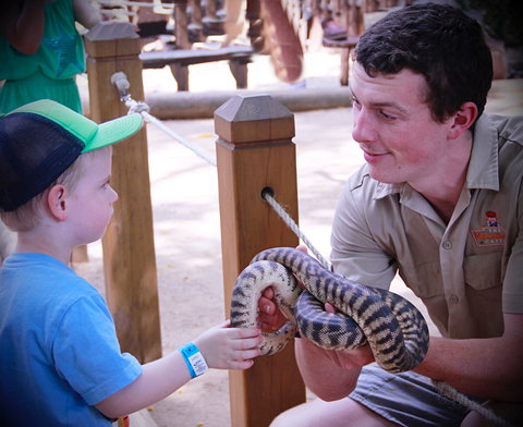 Macadamia Castle - Accommodation Georgetown 1