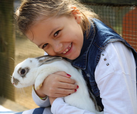 Macadamia Castle - Accommodation Georgetown 2