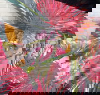 Mokoan Rest Stop Northbound - Accommodation Georgetown