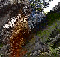 Mystery Face Walking Track - Accommodation Georgetown