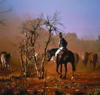 Outback Heritage and Coal Adventure - Accommodation Georgetown