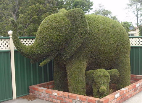 Railton: Town Of Topiary - Accommodation Georgetown 0
